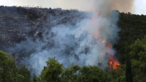 Gebze'de orman yangını! Valilikten vatandaşlara kritik uyarı yapıldı