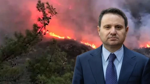 Bakan Gürlek açıkladı: Orman yangınlarına ilişkin 12 tutuklama