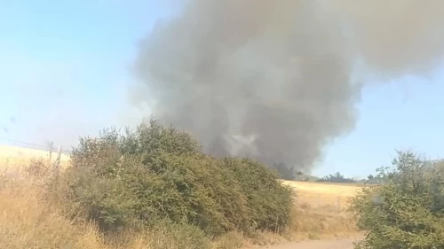 Çanakkale Ezine'de korkutan yangın!