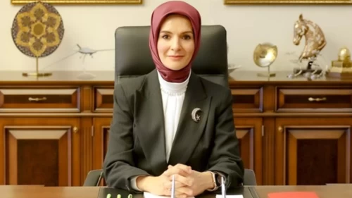 Orman yangınlarından etkilenen 4 ile 25 milyon liralık destek!