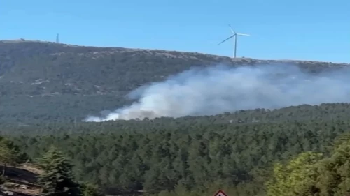 Muğla'da yangın ihbarı! Dumanlar gökyüzünü kapladı