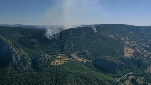 Sinop'ta orman yangını kontrol altına alındı