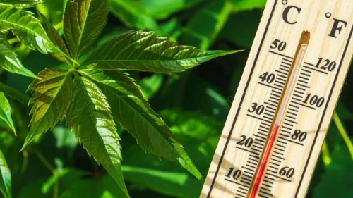 Türkiye için hava durumu: Sıcaklıklar 40 dereceye dayanıyor! Meteoroloji il il açıkladı