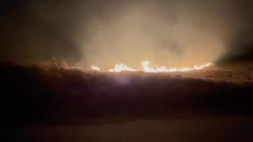 Anız yangını korku dolu anlar yaşattı