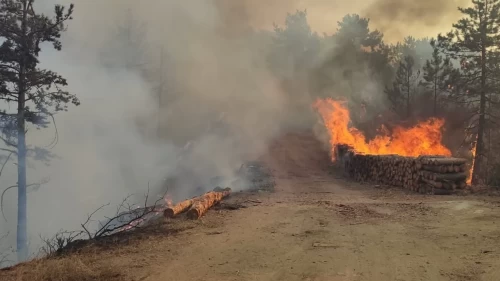 Bolu'da ormanlık alanda çıkan yangına müdahale ediliyor