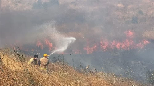 Çanakkale'de orman yangını! Vali açıklama yaptı