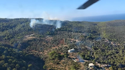 Antalya Kaş’ta korkutan orman yangını!