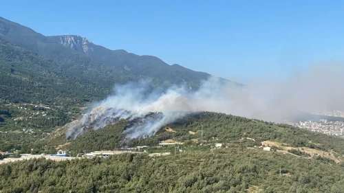 Uludağ'ın eteklerinde 3 farklı noktada alevler yükseldi