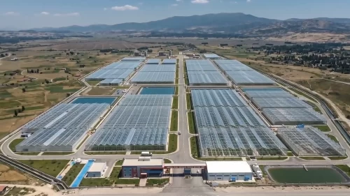 Kütahya’da tarımda yeni dönem! Jeotermal ısıtmalı sera bölgesi üretime hazır