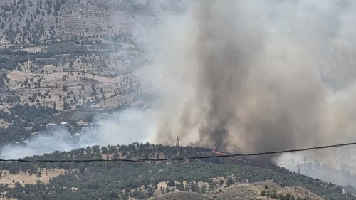 Adıyaman'da korkutan orman yangını!