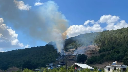 Bursa’da yangın paniği! Alevler ormanlık alana sıçradı