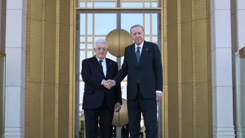 Cumhurbaşkanı Erdoğan'dan Filistin mesajı: Filistin davasını en güçlü şekilde savunmaya devam edeceğiz