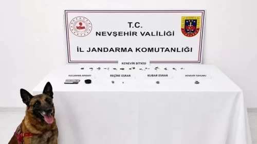 248 kök kenevirin bulunduğu operasyonda 6 şüpheli yakalandı