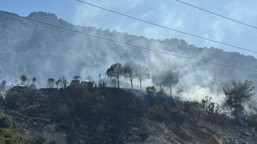 Antalya'da ormanlık alanda çıkan yangına müdahale ediliyor!