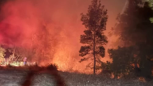 Hatay'da orman yangını paniği!