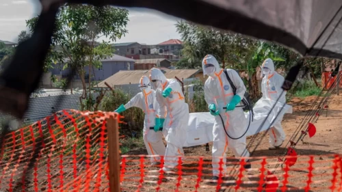 DSÖ'den korkutan Ebola uyarısı