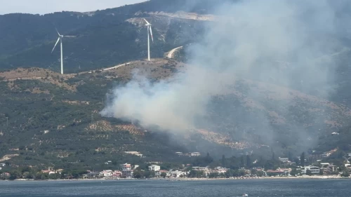 Balıkesir Erdek'te korkutan orman yangını!
