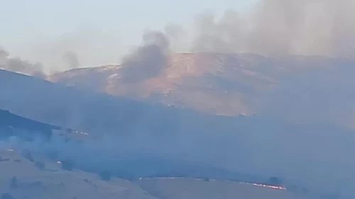 Malatya'da arazi yangını kontrol altına alındı!