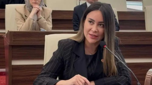 Şapkalılar çetesi soruşturmasında CHP'li avukat Hülya Şimşek tutuklandı