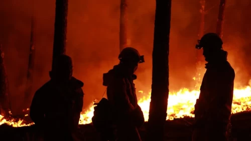 Zehirli gaz tehdidi nedeniyle 30 bin kişi eve kapandı