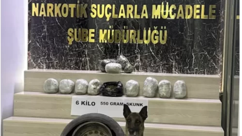 Tatvan’da araç stepnesine gizlenen 6 kilo 550 gram skunk ele geçirildi