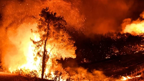 Muğla'dan Antalya'ya sıçrayan orman yangınına müdahale sürüyor