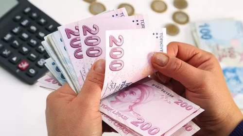 Çiftçiye 195,6 milyon liralık destek!