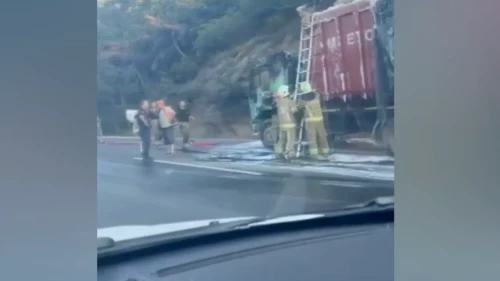 Bursa'da talaş yüklü TIR alevlere teslim oldu!