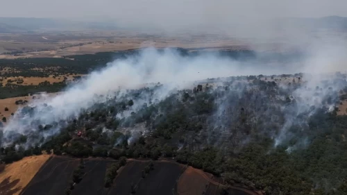 Kütahya'da buğday tarlasına çıkan yangın ormana sıçradı!
