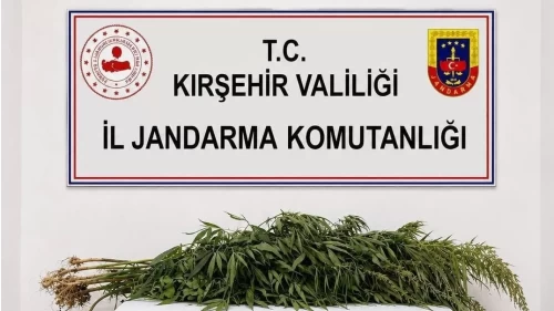 Boztepe’de iki adrese uyuşturucu operasyonu