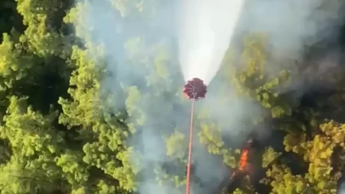 Antalya orman yangını: Havadan ve karadan müdahale ediliyor
