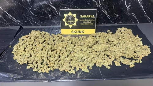 Sakarya’daki narkotik operasyonunda 2 şüpheli tutuklandı