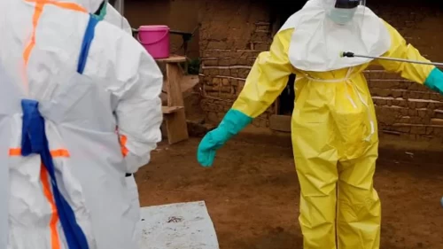 Kongo'da Ebola salgını büyüyor!