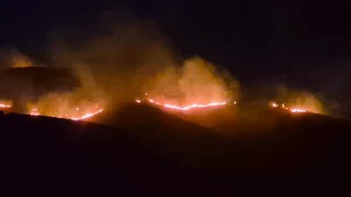 Bodrum'da korkutan yangın