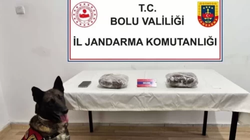 TEM Otoyolu’nda yolcu otobüsünde flaş operasyon!
