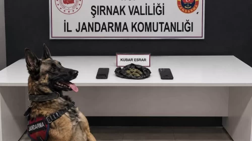 Kaçakçılara tarihi darbe: 20 milyon liralık malzeme ele geçirildi
