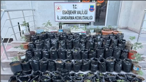 Eskişehir’de saksılarda kenevir yetiştiren şüpheli tutuklandı