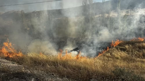 Isparta’da kara yolu kenarındaki yangın kontrol altına alındı