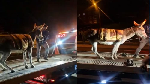 Protokol Yolu'na çıkan eşek çekici ile yediemin otoparkına götürüldü
