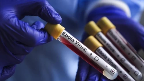KDC'de Ebola salgınında can kaybı 3 bin 500'ü aştı