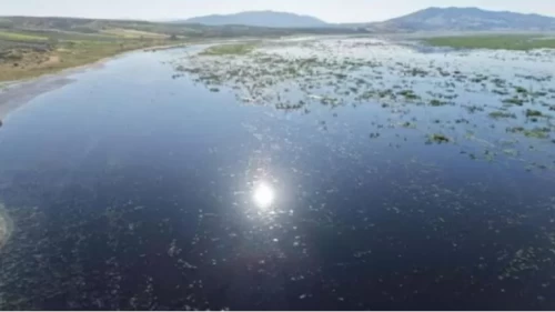 Kuruyan Marmara Gölü’nde büyük proje yargıya takıldı!