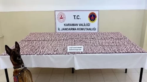 Karaman’da jandarma denetimi: 20 bin sentetik hap ve 8 kilo esrar ele geçirildi