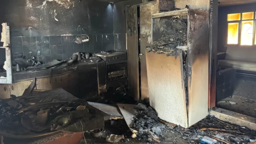 Antalya’daki yangından güzel haber
