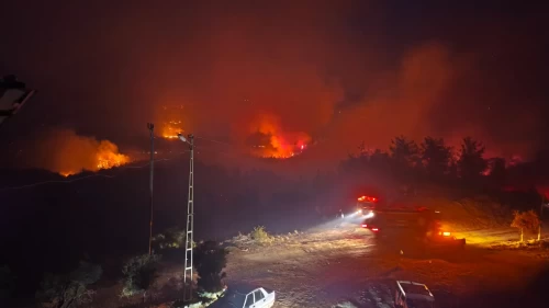 Adana Kozan'da orman yangınına müdahale sürüyor