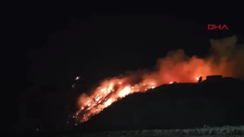 Adana’da çöp ve molozların döküldüğü alanda yangın