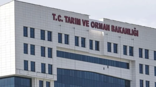Bolu'da Orman Okulu öğrencileri doğayla buluşturuyor