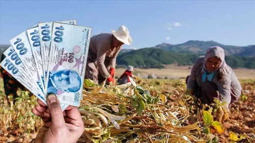 Tarlada 6 lira, makbuzda 28 lira! Sebze-meyve piyasasındaki fiyat oyunu ortaya çıktı