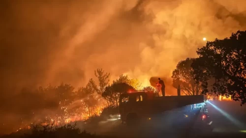 Antalya, Mersin ve Adana yangınlarında son durum!
