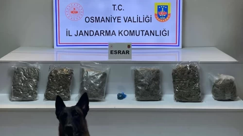 Osmaniye’de yayla evine uyuşturucu operasyonu: 3 tutuklama