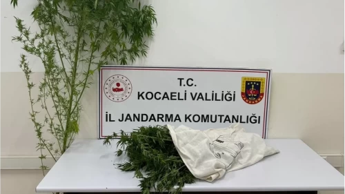 Kocaeli’de uyuşturucu operasyonu: 3 kilo 750 gram esrar ele geçirildi